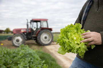 Bauer mit Salat auf seinem Feld vor einem Traktor