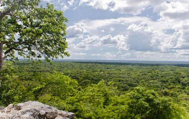 Landscape with tropical evergreen jungle with cloudy sky and bright sun in UNESCO Calakmul natural reserve in Campeche state