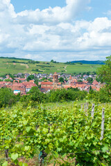 Fototapeta na wymiar Rural landscape of Alsace in France. The small medieval town of Rosheim and its vineyard-covered hills.