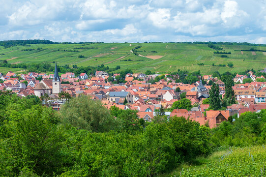 Rural landscape of Alsace in France. The small medieval town of Rosheim and its vineyard-covered hills.