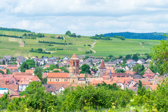 Rural landscape of Alsace in France. The small medieval town of Rosheim and its vineyard-covered hills.