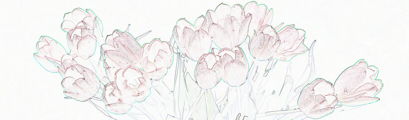 drawing of a bouquet of red tulips