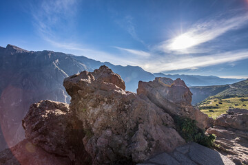 habitat of the giant Andean condor
