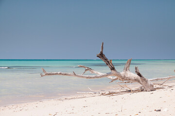 Fototapeta na wymiar Landscape beach in Cayo Jutias, Cuba