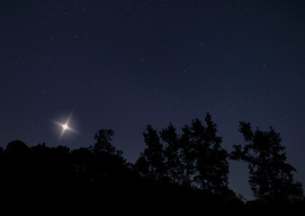 Christmas star rising over a dark forest