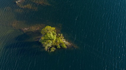 An aerial shot of a lone tree growing on its own Island on Crummock Water in the Lake District, UK