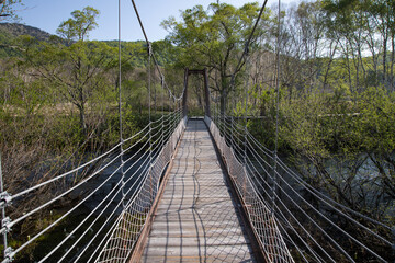 Suspension bridge at Oze National Park, Gunma, Japan