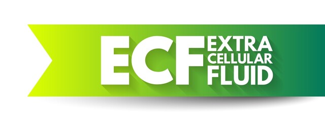 ECF Extracellular fluid - body fluid that is not contained in cells, acronym text concept background