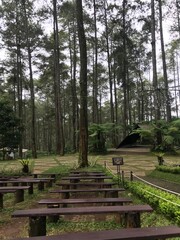 Orchid Forest, Bandung: Seats