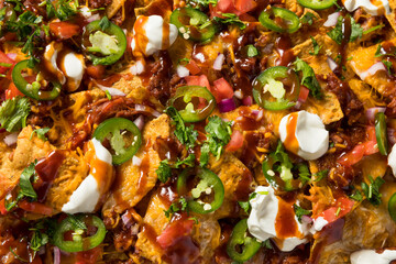 Homemade Pulled Porrk Nachos