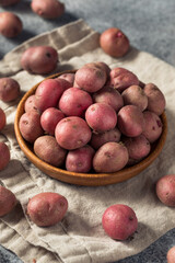 Red Organic Potatoes in a Bowl