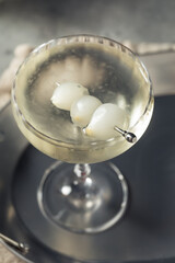 Fototapeta na wymiar Boozy Refreshing Gin Gibson Martini