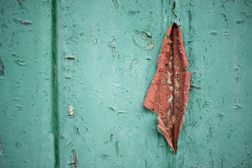 ein idealer Hintergrund, alte grüne Holzwand mit abblätternder Farbe, Querformat