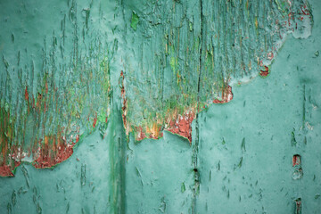 ein idealer Hintergrund, alte grüne Holzwand mit abblätternder Farbe - obrazy, fototapety, plakaty