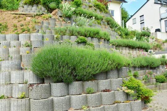 Mauer aus Pflanzringen zur Hangsicherung im Hausgarten