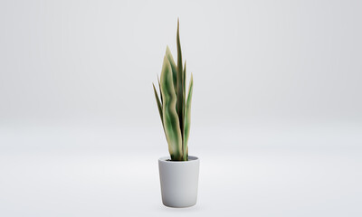 Green air snake plant Tree planted white ceramic pot isolated on white background. 3D Rendering, Illustration.  
