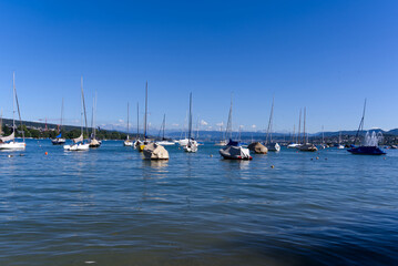 Obraz premium Scenic landscape with moored sailing boats at lakeshore of Lake Zürich at City of Zürich on a sunny summer day. Photo taken June 11th, 2022, Zurich, Switzerland.