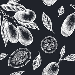 Citrus seamless pattern background design. Engraved style. Hand drawn kumquat.