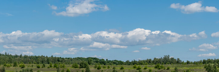 Fototapeta na wymiar panorama niebieskiego pogodnego nieba z białymi chmurami obłokami nad zieloną trawą