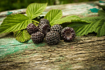 Fresh berries of black raspberries.