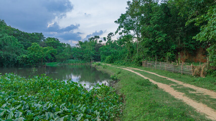 landscape with river and forest