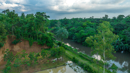 Fototapeta na wymiar river in the forest - aerial photo