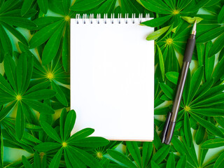 Green tropical texture with white notepad. Creative green leaf mockup, empty notepad lies on beautiful leaves
