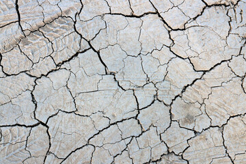Drought Cracks on Land Close Up Full frame Background