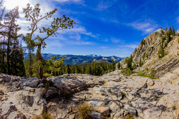 Climbing Mount Hoffmann in Yosemite National Park