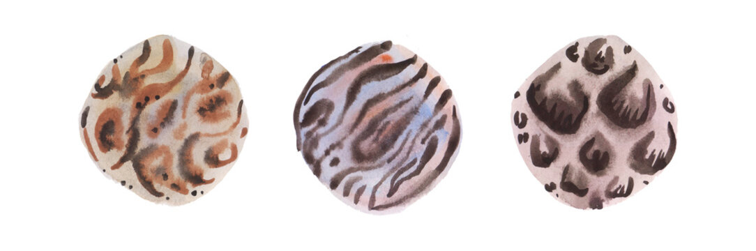 Blurred zebra. Watercolor abstract background. Raster illustration