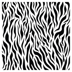 Fototapeta na wymiar Zebra texture pattern design. Animal fur vector illustration background