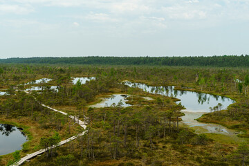 Steg über das Große Ķemeri Moor im Nationalpark Ķemeri in Lettland