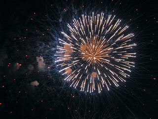 A Bright Ball of Fireworks Exploded into Fiery Splashes in The Dark, Night Sky