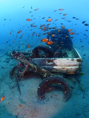 car wreck underwater school of fish around tropical water scenery philippines