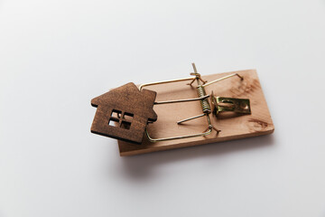 Mousetrap with wooden house