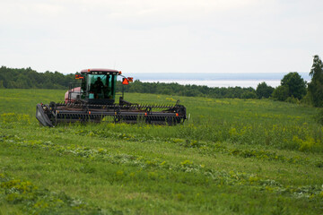 Harvesting hay for cattle. Tractor mows forage grasses on the river bank.
