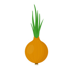 Onion. Fresh and healthy food. Vector illustration of cartoon organic vegetable.