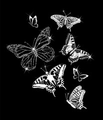 butterflies design. Flying white butterflies on a black background. Vector illustration