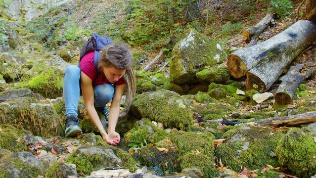 Girl squats on stones covered with moss, scoops up clean water with her palms and drinks from spring. Young woman quenches thirst near forest brook. Female tourist with dreadlocks is near stream