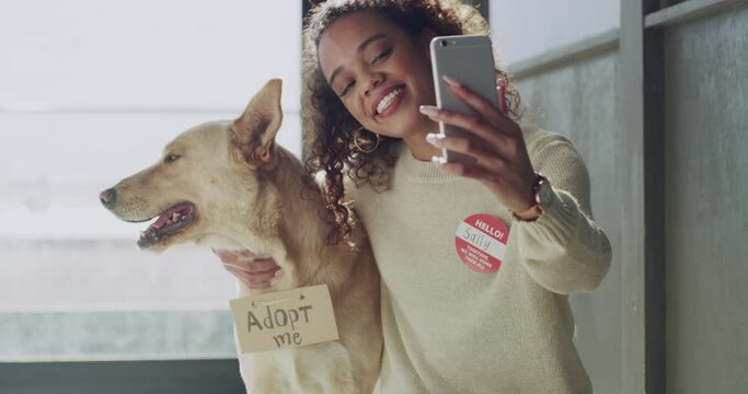 African woman taking a selfie with her dog at an animal shelter. Young trendy girl capturing a lovely moment, sitting next to newly adopted canine with a phone. Person stroking her new furry pet