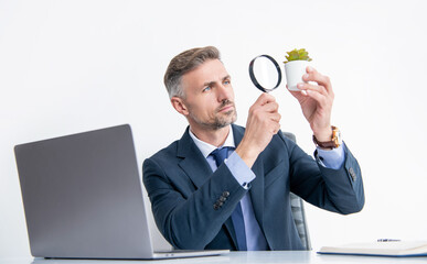 attentive research investor look at plant through magnifying glass in business office