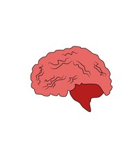 human brain illustration