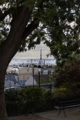 view of the Eiffel Tower through the tree branches from Montmartre in the spring 