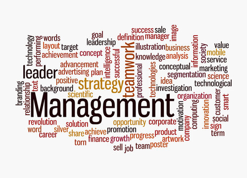 Word Cloud with MANAGEMENT concept, isolated on a white background
