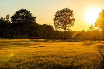 Obraz premium Sonnenuntergang