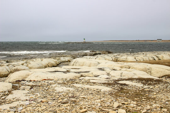 Thrombolites of Flower's Cove western Newfoundland, Canada. Fossilized Cambrian mounds formed by Cyanobacteria
