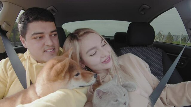 A guy and a girl are driving in a car with a cat and a dog. A guy and a girl take a selfie on their phone in the car. People and animals ride in a car