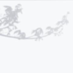 Realistic Vector transparent overlay blurred shadow of branch leaves. Design Element for Presentations and Mockups. Overlay Effect of Tree Shadow.