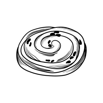 Fresh bakery in sketch style, cinabon, cinnamon, bun with raisins on a white background, isolated element.