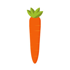 Fresh carrot isolated on white Background. Vegetables